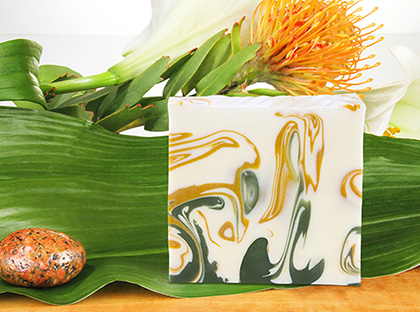 Naturseife_Moodbild-sehr-kl-Datei