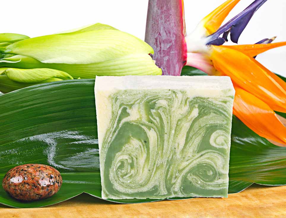 naturseife-aloe-vera-zart-dezent-vegan-ohne-tierversuche-pflegend-feuchtigkeitsspendend-stimmungsbild