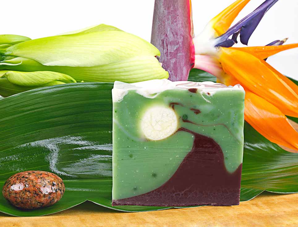 naturseife-waldfee-exotisch-erdig-waldig-w-rzig-vegan-ohne-tierversuche-pflegend-stimmungsbild