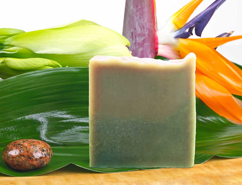 naturseife-waschnuss-shampoos-mild-frisch-vegan-ohne-tierversuche-pflegend-stimmungsbild