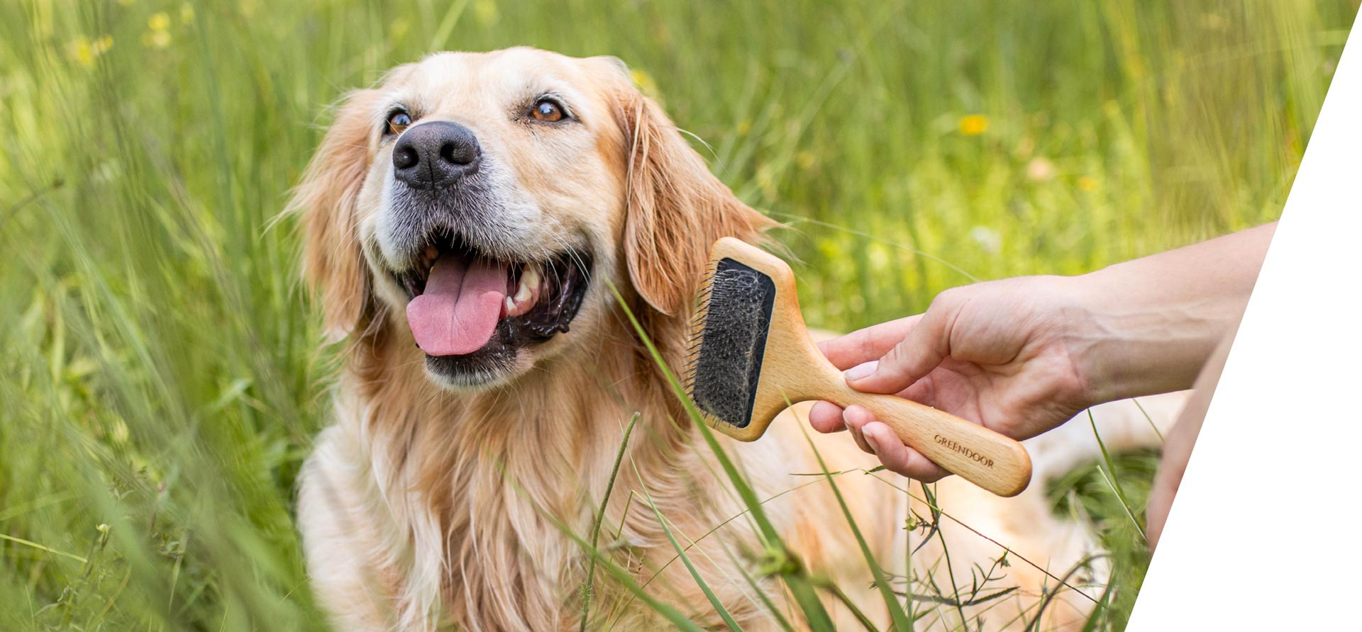 Ein in einer grünen Wiese liegender Hund zusammen mit einer Fellbürste