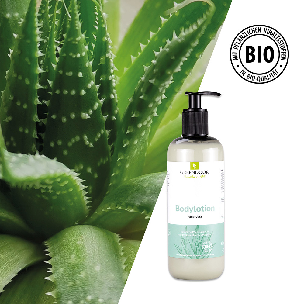 große Flasche mit Pumper Greendoor Bodylotion Aloe Vera plus Aloe Vera Pflanze