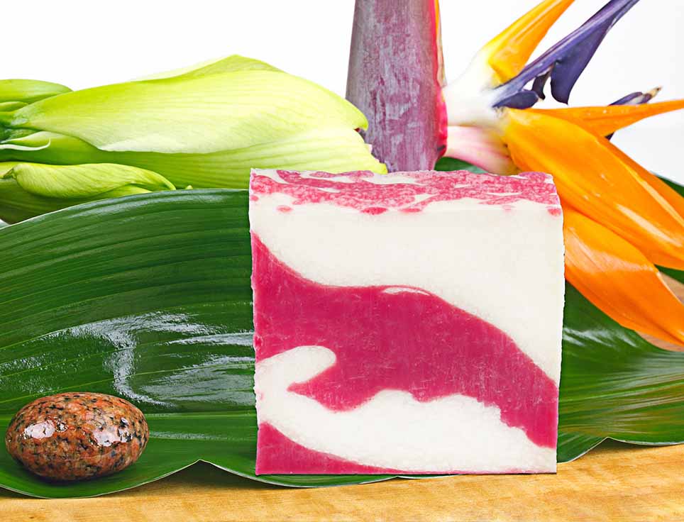 naturseife-himbeerwolke-s-ss-fruchtig-vegan-ohne-tierversuche-pflegend-feuchtigkeitsspendend-stimmungsbild