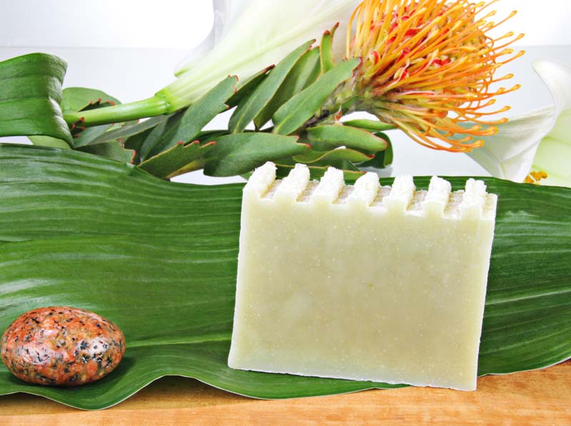 naturseife-olivenhain-nat-rlich-vegan-ohne-tierversuche-pflegend-ohne-allergene-inhaltsstoffe-stimmungsbild