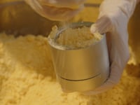 Badekugeln Froschkönig